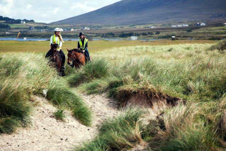 Horses trekking at Sandybanks, Keel